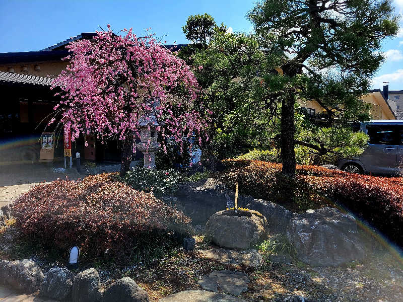 sauna parrotさんの小さな旅  川越温泉のサ活写真