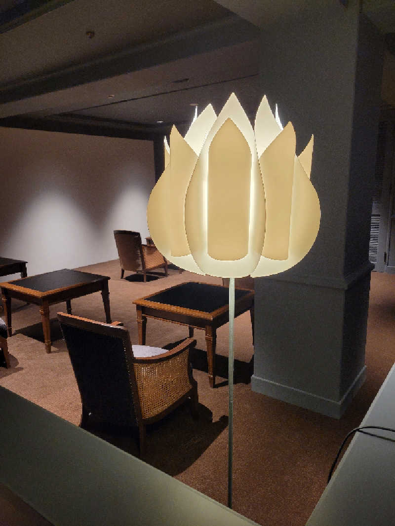 sauna parrotさんのニュージャパン 梅田店(カプセルイン大阪)のサ活写真