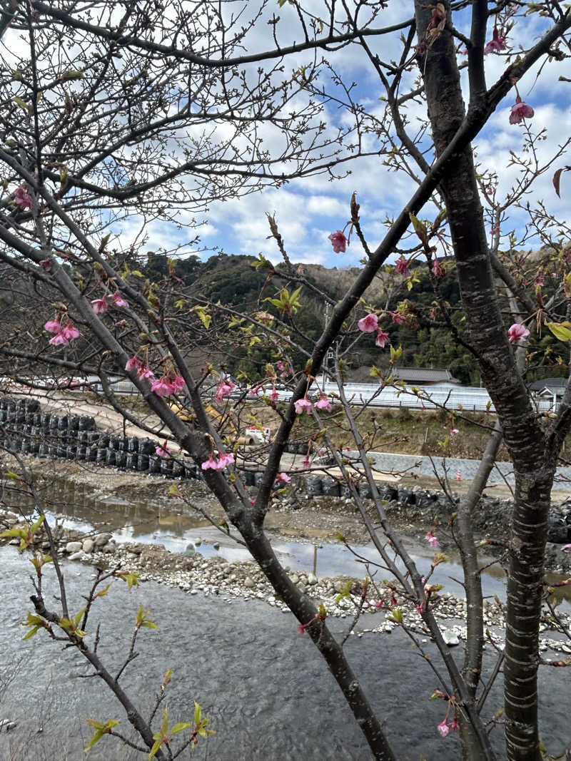 スリーメンさんの石花海のサ活写真