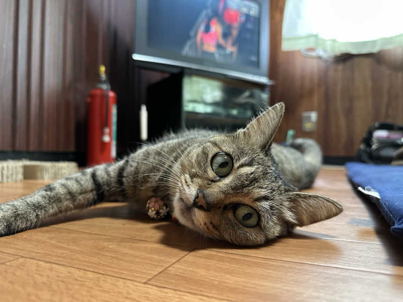 teraoさんの御所宝湯のサ活写真