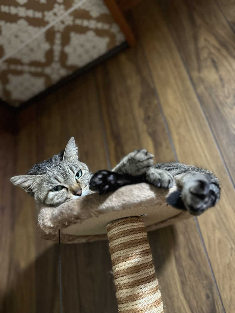 teraoさんの御所宝湯のサ活写真