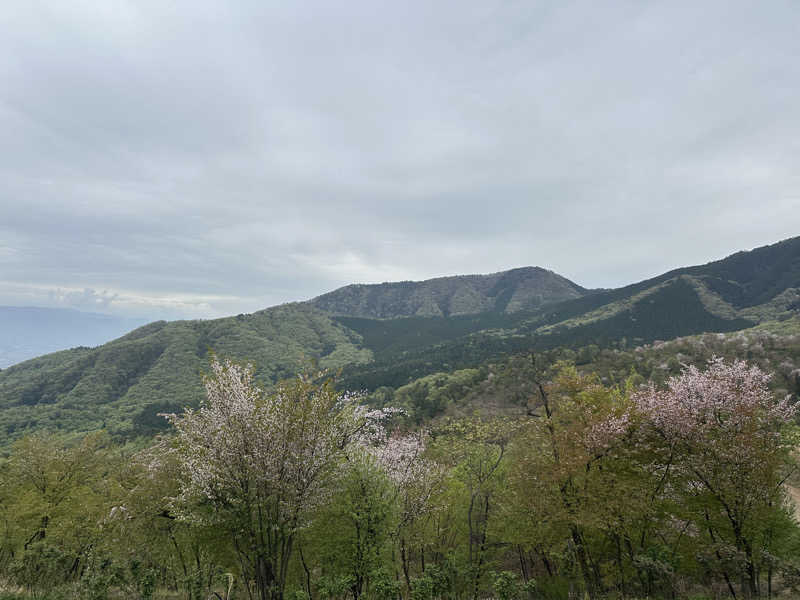 teraoさんの正徳寺温泉初花のサ活写真