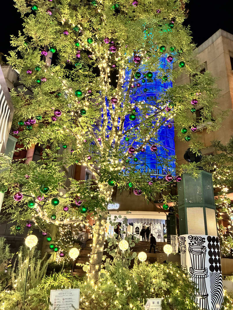 ＲＮさんのsaunahouseのサ活写真