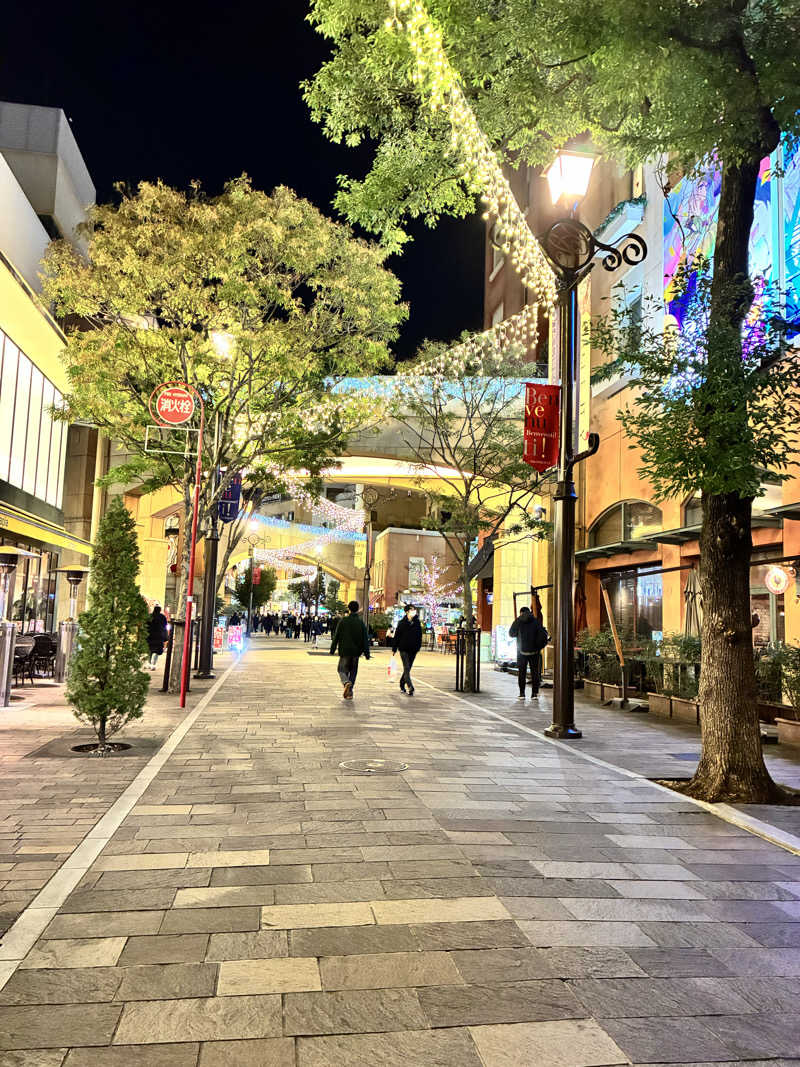 ＲＮさんのsaunahouseのサ活写真