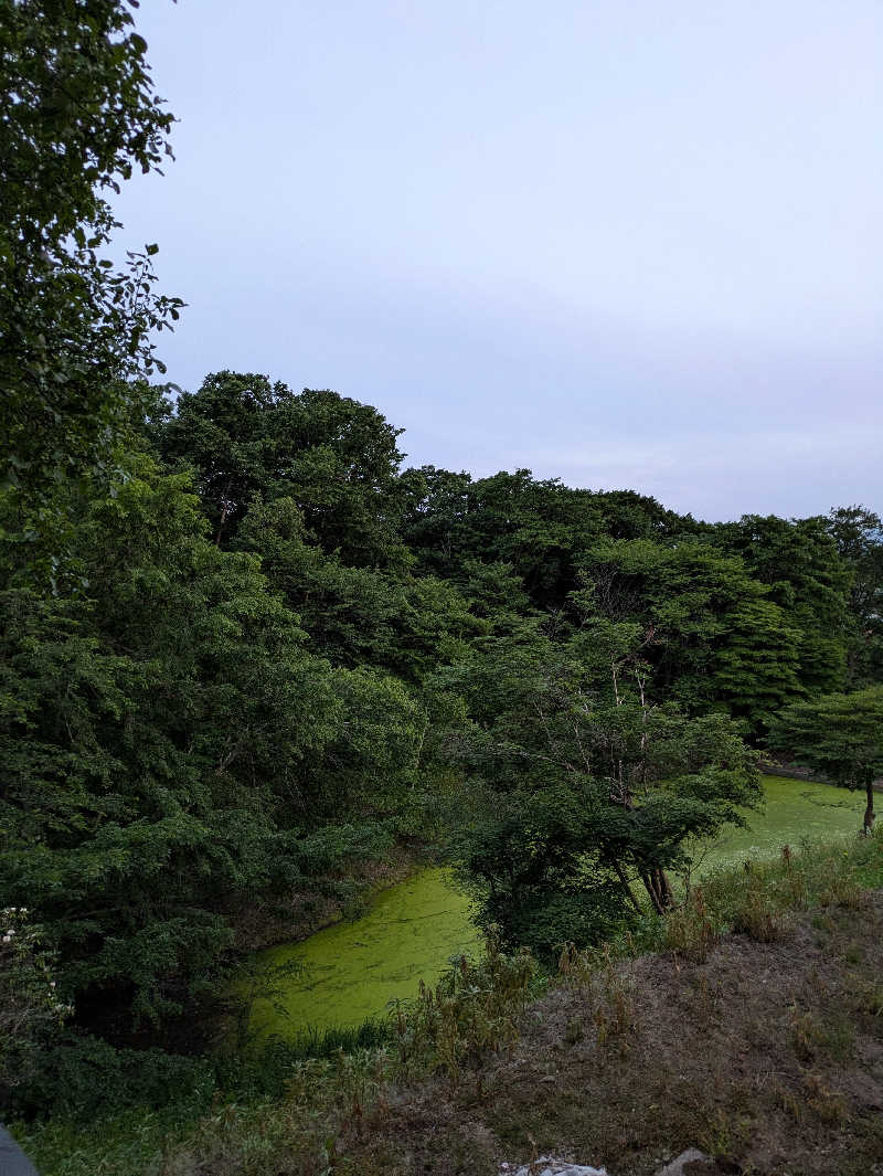 もちえさんの里の森 森のゆのサ活写真