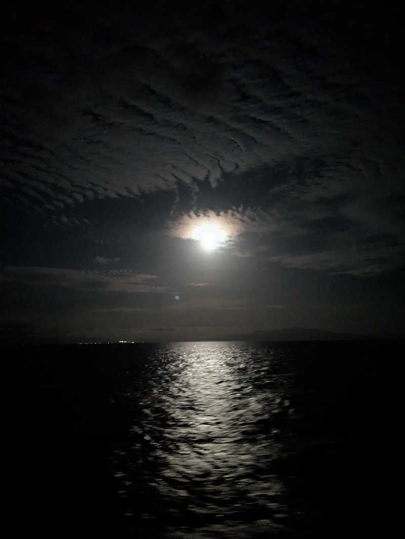 もちえさんのあざれあ(新日本海フェリー)のサ活写真