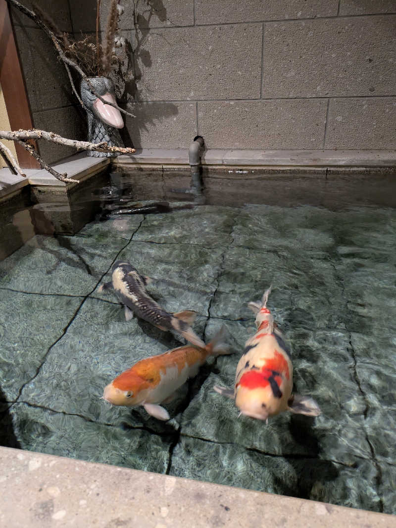 もちえさんの小樽朝里川温泉 おたる宏楽園のサ活写真