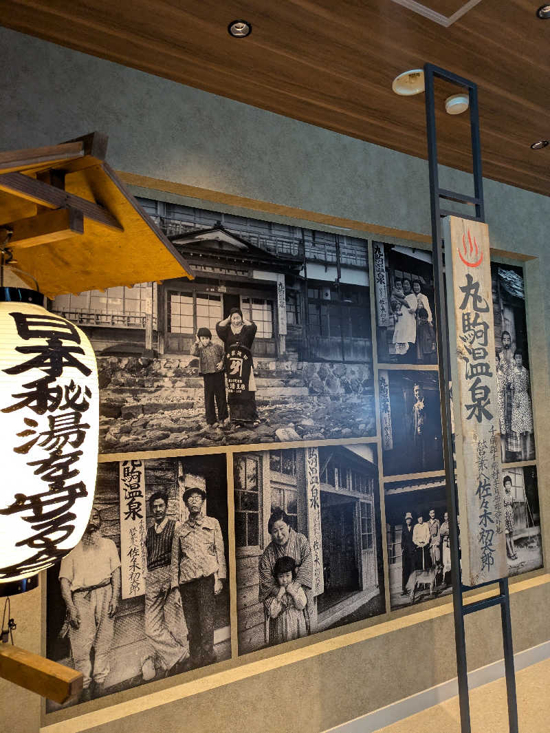 もちえさんの奥札幌の秘湯 湖畔の宿支笏湖 丸駒温泉旅館のサ活写真
