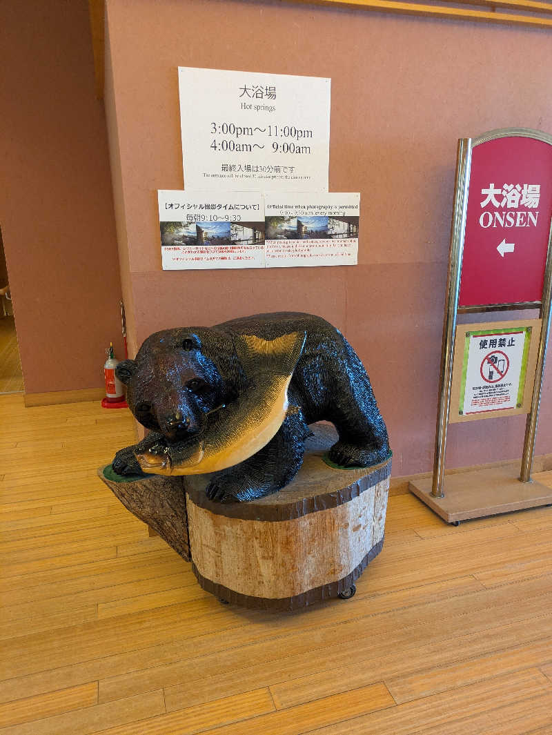 もちえさんの奥札幌の秘湯 湖畔の宿支笏湖 丸駒温泉旅館のサ活写真