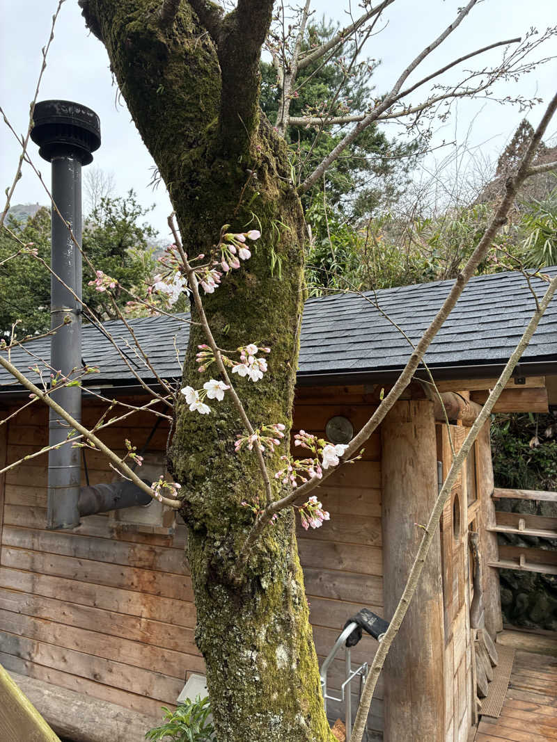 キュロ（Kyrö）さんのSauna kota LEPOのサ活写真