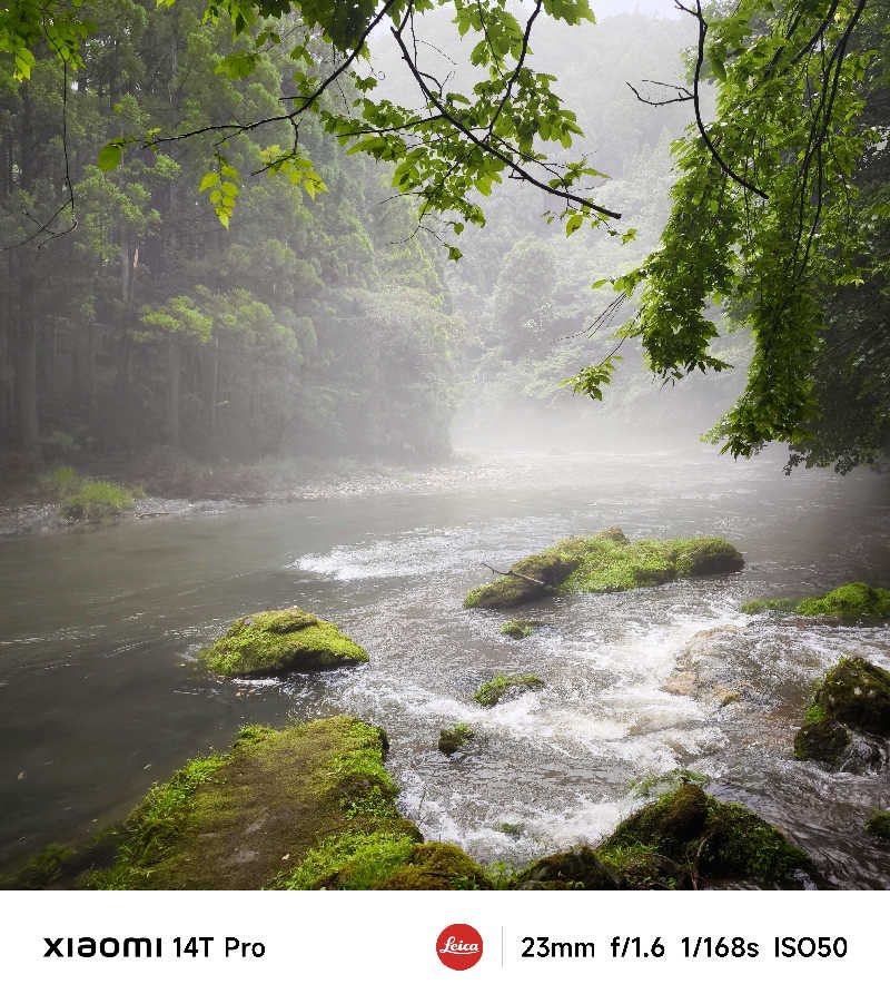 ベアクローさんのKanzaki Sanga Saunaのサ活写真