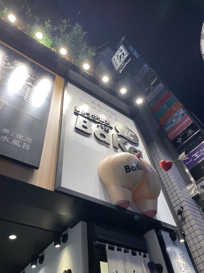 ありーさんの生姜サウナ 金の亀のサ活写真