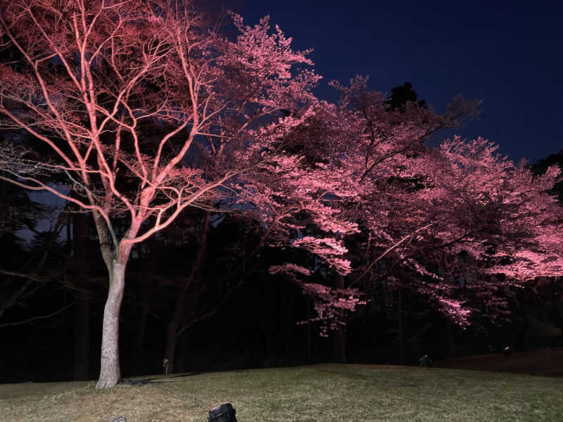 FS@4482さんのSauna & Spa Green サウナ&スパ グリーン～愛宕山温泉～のサ活写真