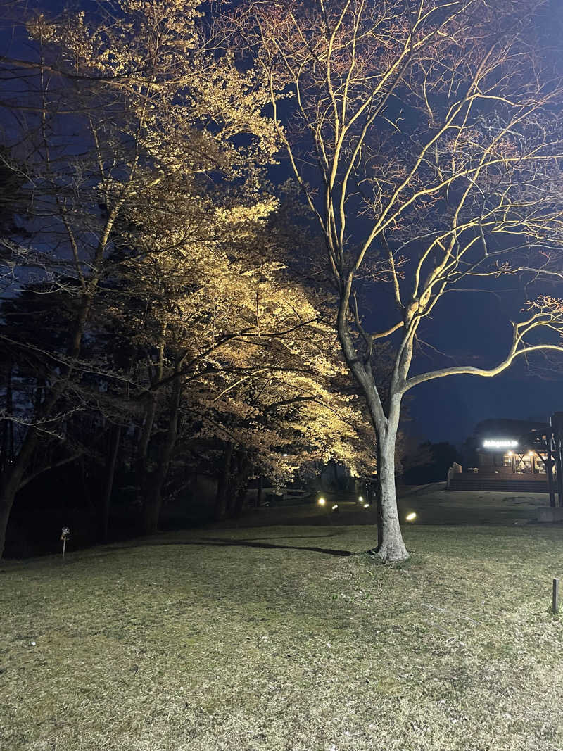 FS@4482さんのSauna & Spa Green サウナ&スパ グリーン～愛宕山温泉～のサ活写真