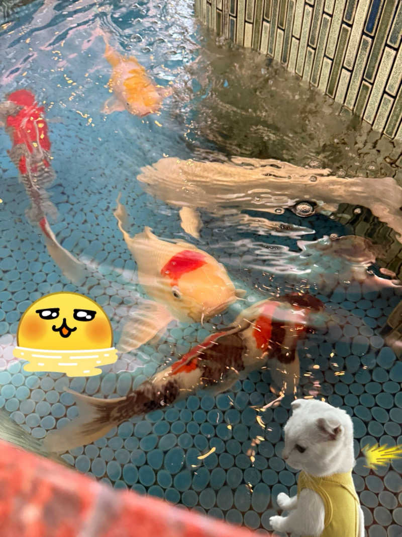 あちちのあずちさんの夢の公衆浴場 五色のサ活写真