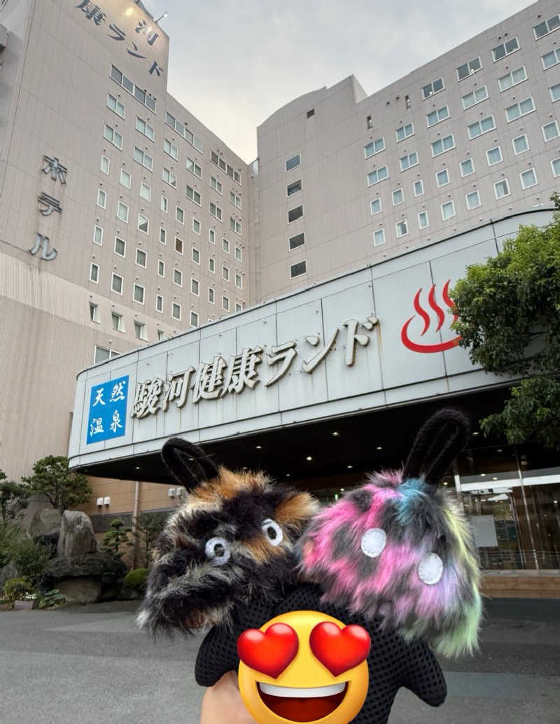 あちちのあずちさんの駿河健康ランドのサ活写真