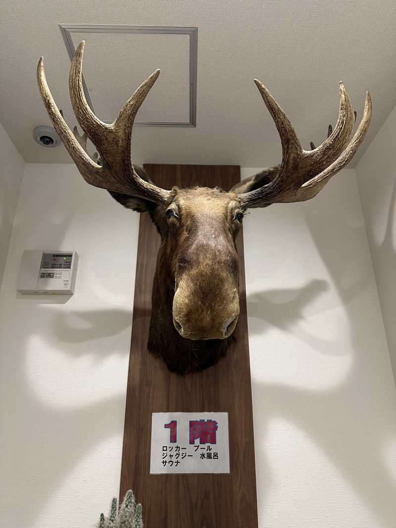 水風呂〜さんのニュージャパン 梅田店(カプセルイン大阪)のサ活写真