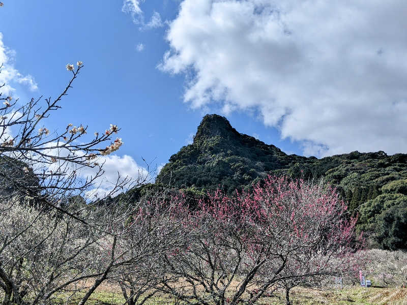 あつきさんの御船山楽園ホテル  らかんの湯のサ活写真