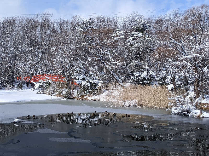 あつきさんのえにわ温泉ほのかのサ活写真