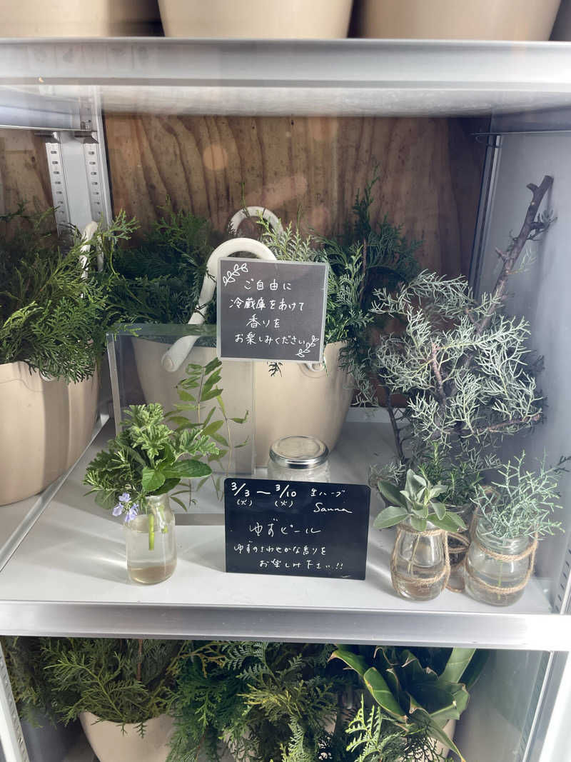 ダイスケさんの岐阜各務原 恵みの湯のサ活写真