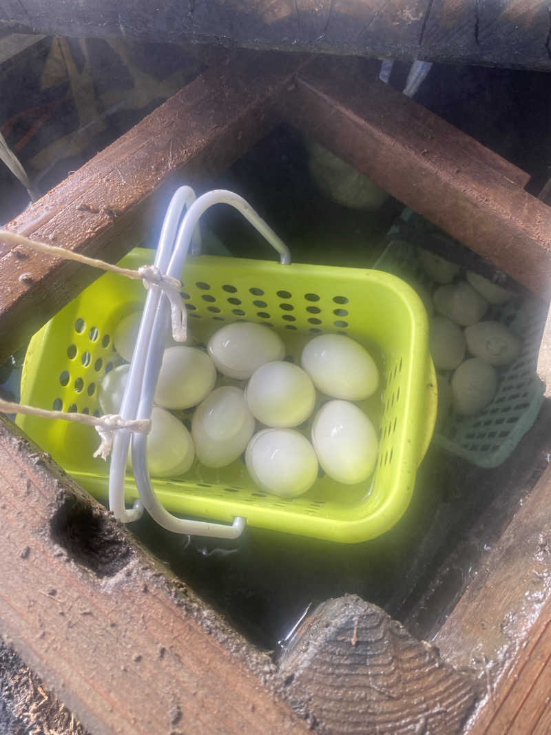 N Tさんのこまつの湯 (石亭小松)のサ活写真