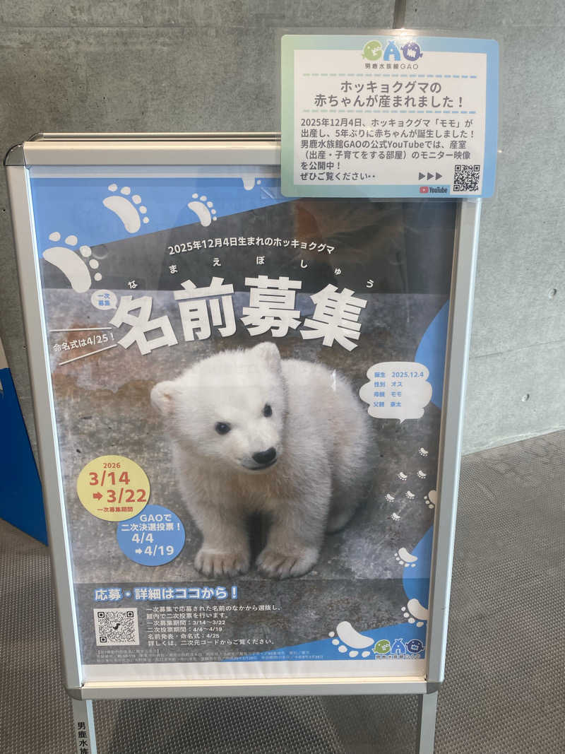 N Tさんのホテル木下 秋田男鹿駅前のサ活写真