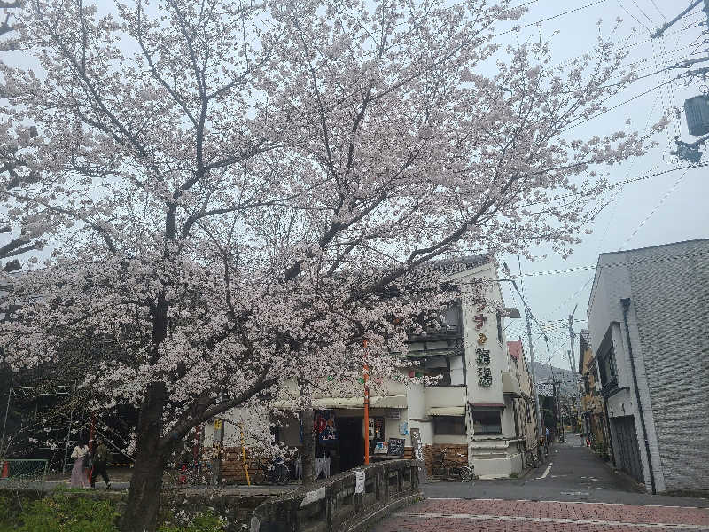 りかﾁｬﾝ︎🐰💫💭さんのサウナの梅湯のサ活写真