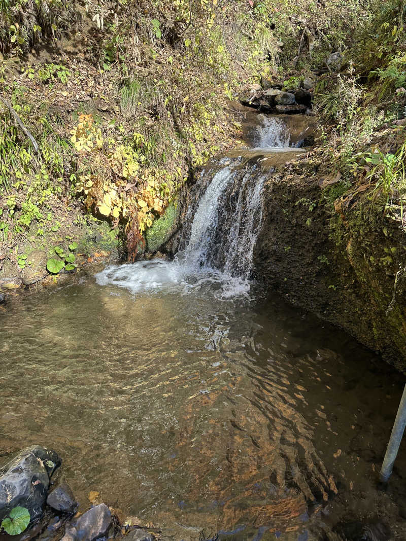 tokutokukenさんの滝つぼサウナ(サンバードサウナガーデン)のサ活写真