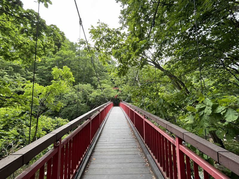 Kkkさんの定山渓温泉 湯の花のサ活写真