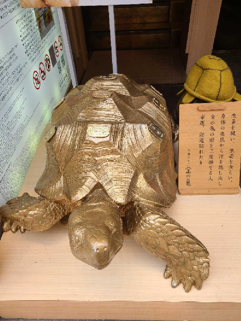 免疫 弱美さんの生姜サウナ 金の亀のサ活写真