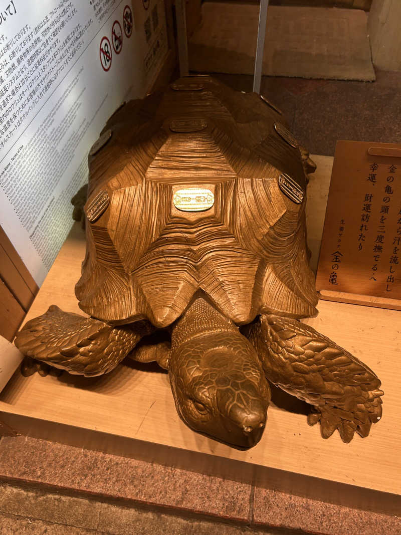 ぞうさんの生姜サウナ 金の亀のサ活写真