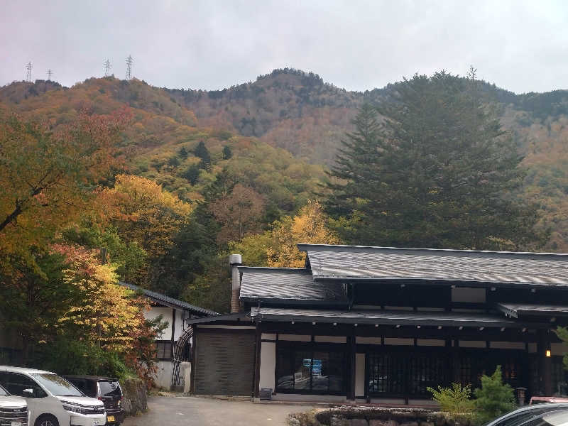 紅の虎さんのひらゆの森のサ活写真