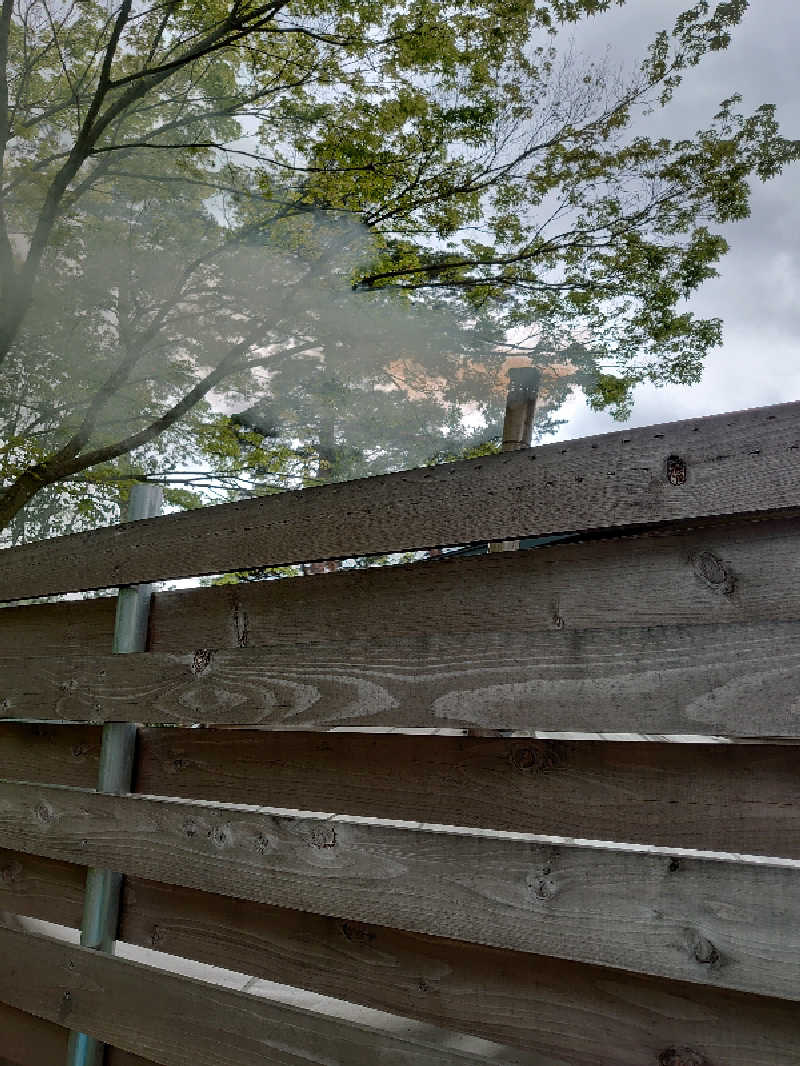 灼熱の最高でーーす。（トール）さんのSauna & Spa Green サウナ&スパ グリーン～愛宕山温泉～のサ活写真