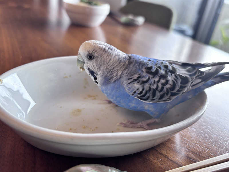 れどろさんのふくの湯 早良店のサ活写真