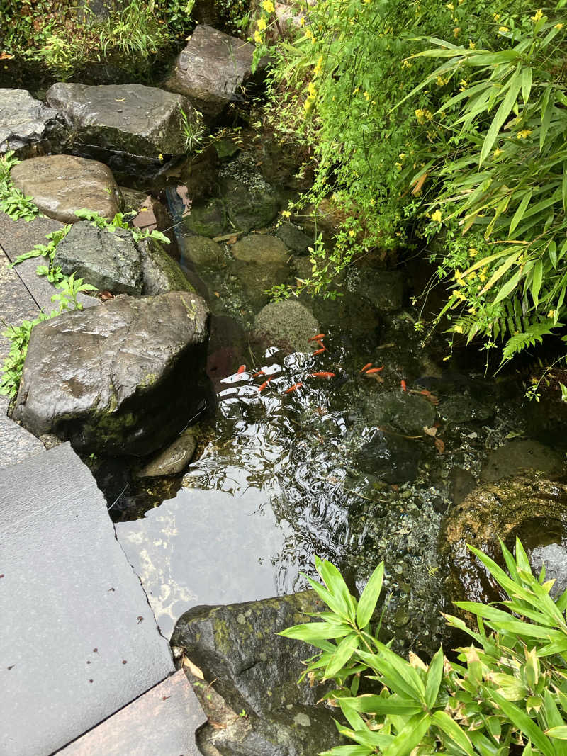 サウナ部　課長さんの大垣サウナのサ活写真