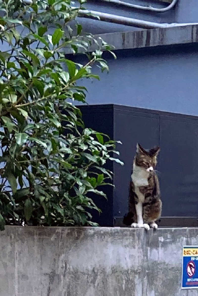 熊五郎さんのカプセル&サウナ ロスコのサ活写真