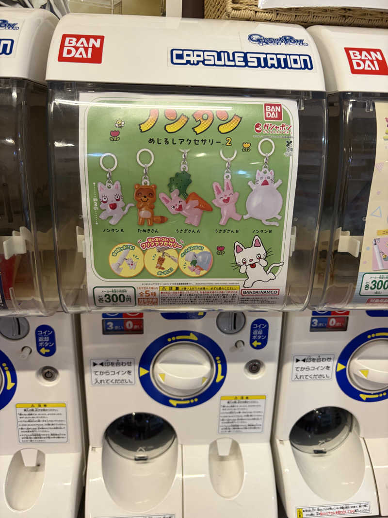 ゆまだおさんの湯乃泉 草加健康センターのサ活写真