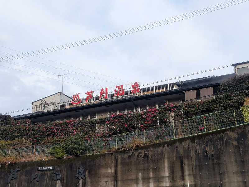 きのPさんの芦刈温泉のサ活写真