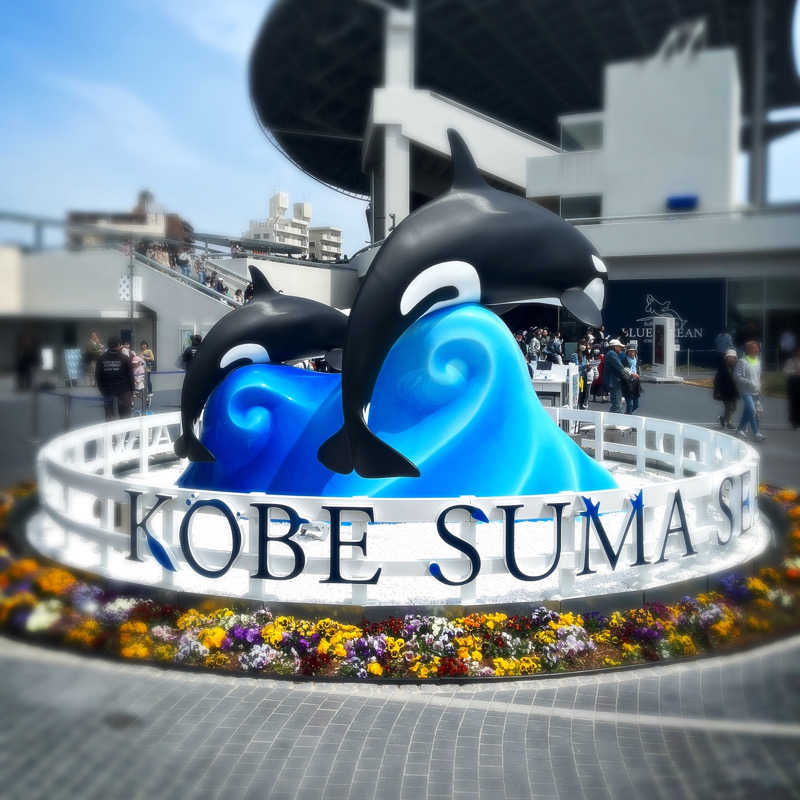 まさやさんのあわじ浜離宮のサ活写真