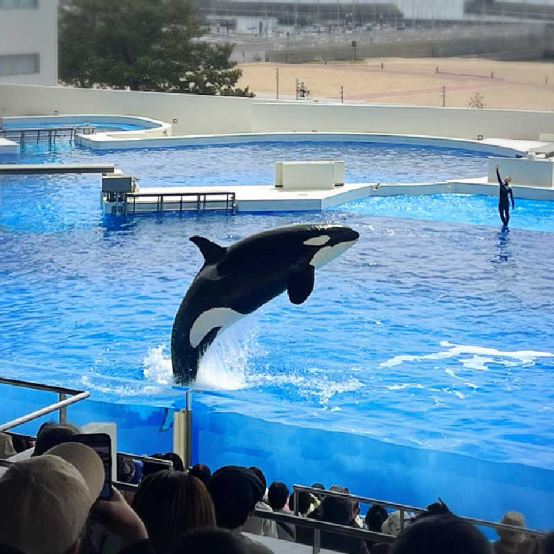 まさやさんのあわじ浜離宮のサ活写真