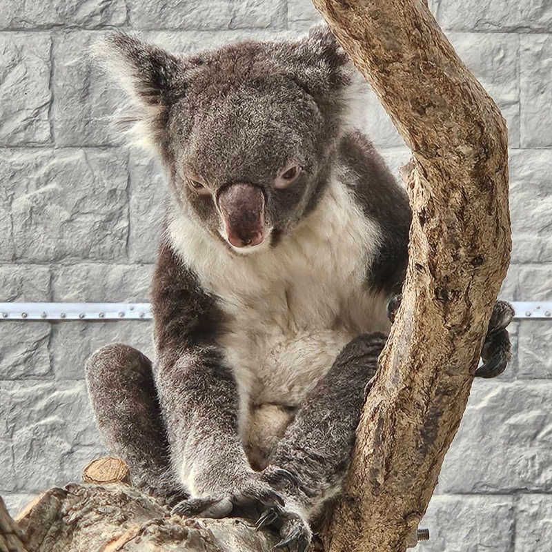 まさやさんの美湯松帆の郷のサ活写真
