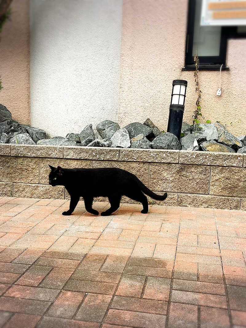 まさやさんの八千代湯のサ活写真