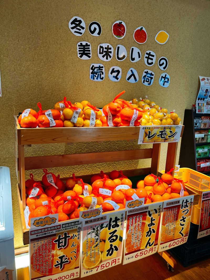 まさやさんのやまと温泉 やすらぎ館 ことといの湯のサ活写真