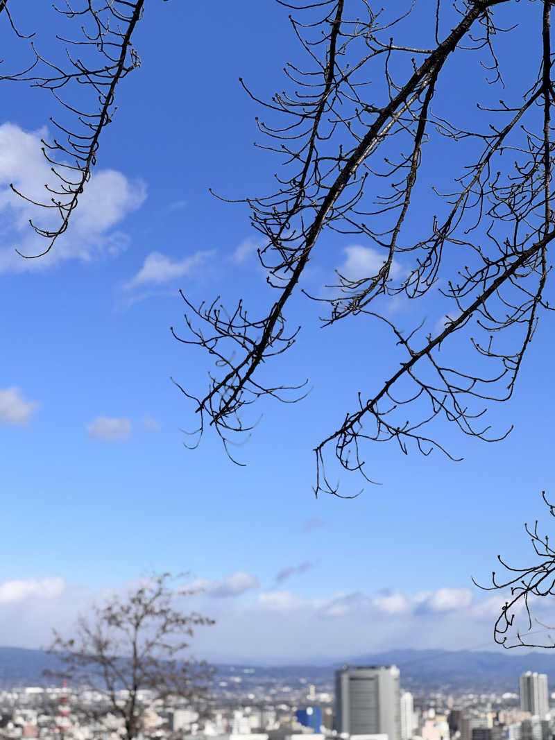 コミーさんの観音山サウナ蒸寺のサ活写真