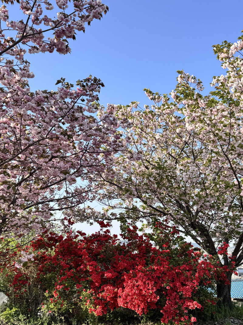 コミーさんの毎日サウナ 八王子店のサ活写真
