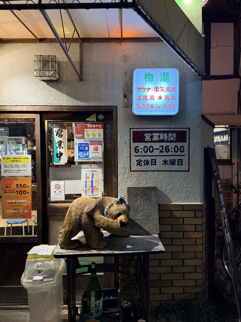 かんなさんのサウナの梅湯のサ活写真