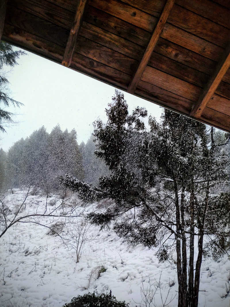 akkiおじちゃんさんの新郷温泉館のサ活写真