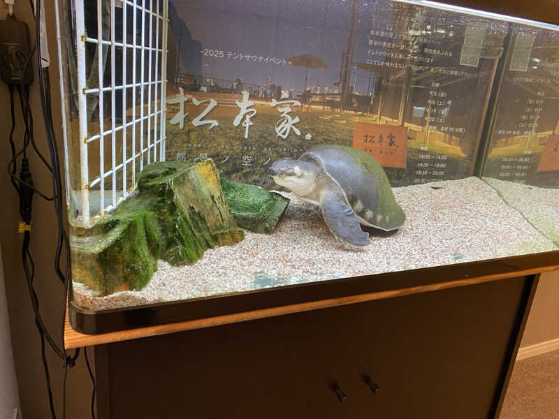 まーぽ㌠さんの松本湯のサ活写真