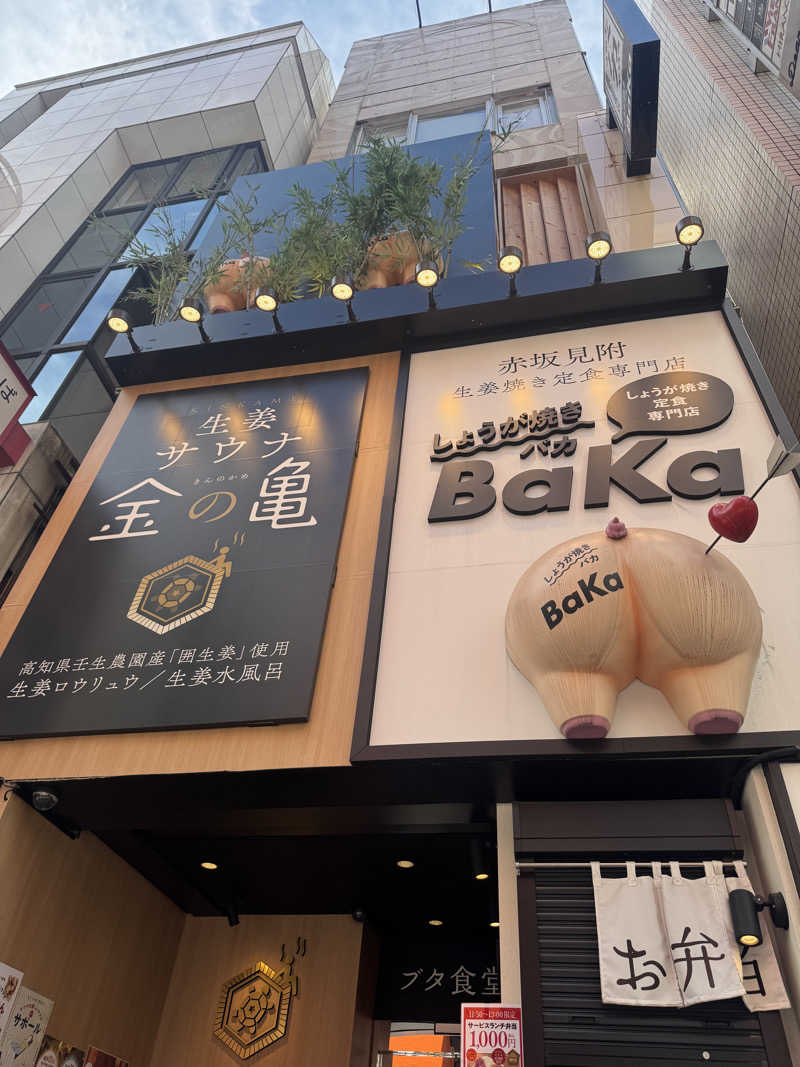 せがっちゃんさんの生姜サウナ「金の亀」のサ活写真