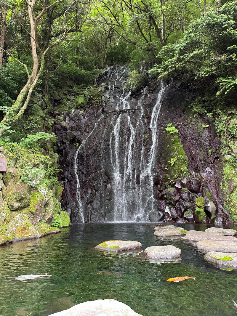 T.Jさんの箱根湯本温泉 天成園のサ活写真